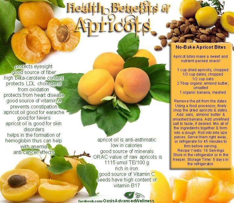 Healthy Benefit Of Apricot Musely