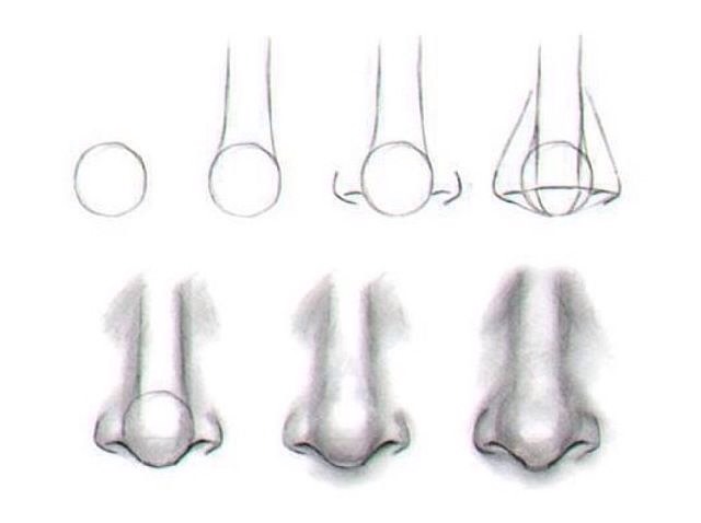 How to draw a nose.