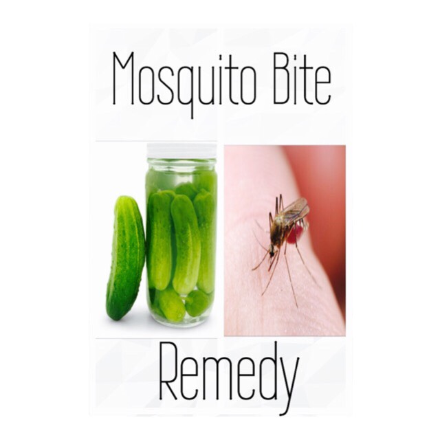 MOSQUITO BITE REMEDY! Musely