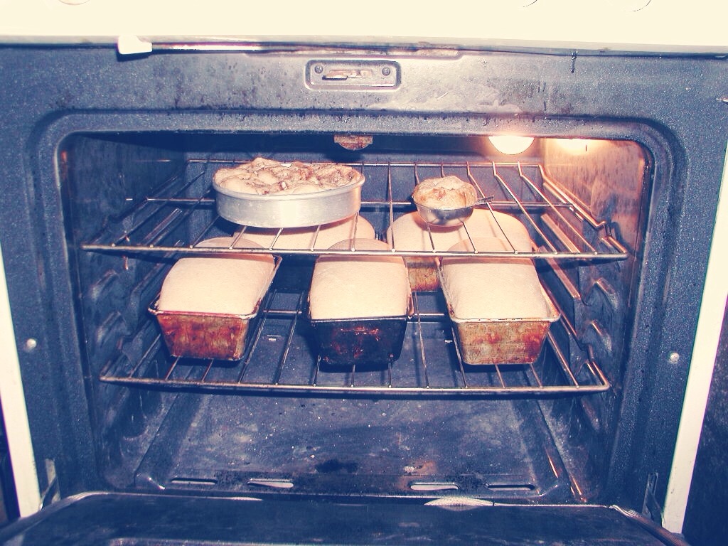 Духовка Как Сделать Фото – Telegraph