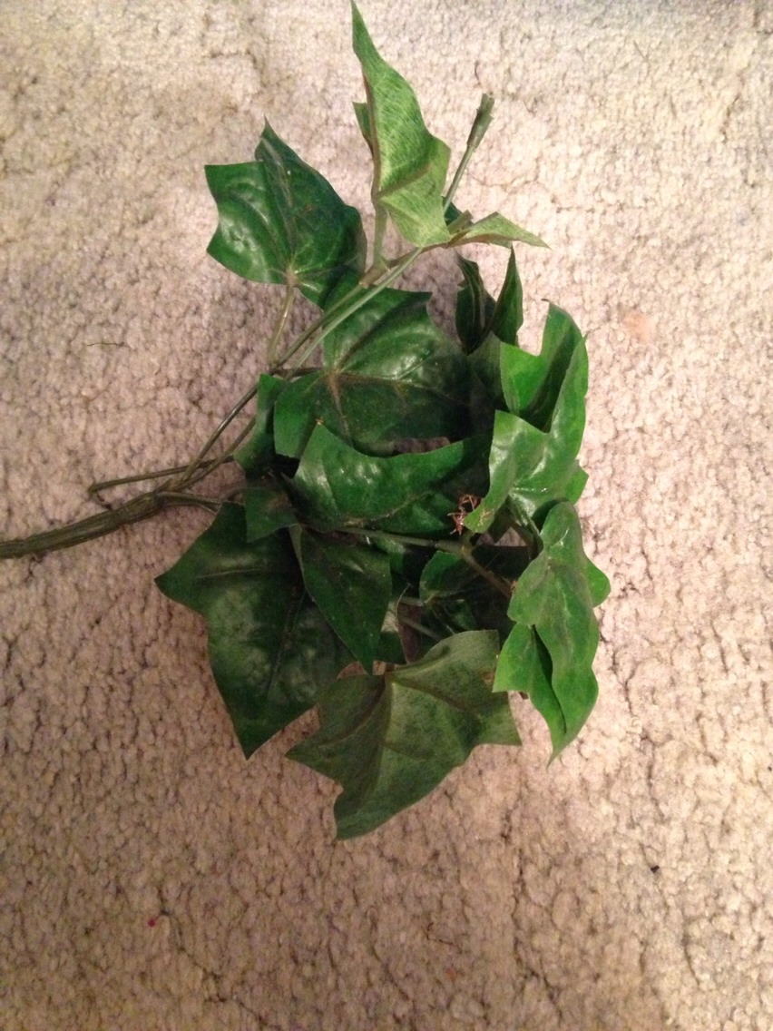 How To Make A Greek Goddess Costume Musely how-to-do-a-greek-goddess-hairstyle-greek-goddess-hairstyle-greek