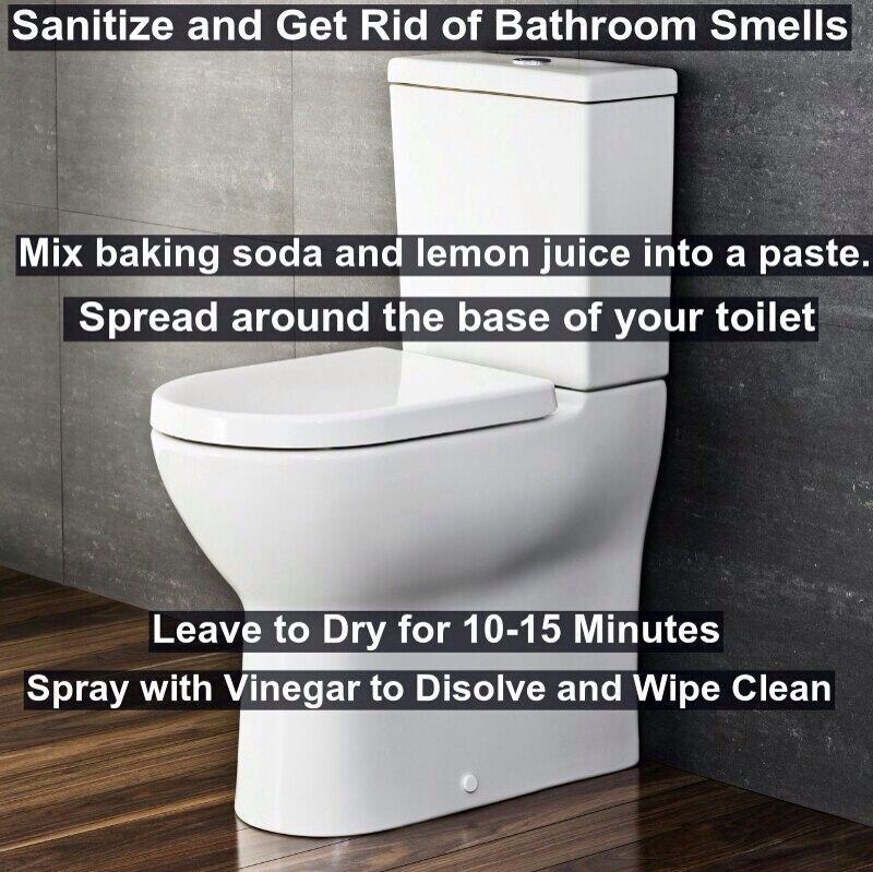 DIY Bathroom Sanitizer & Deodorizer Musely