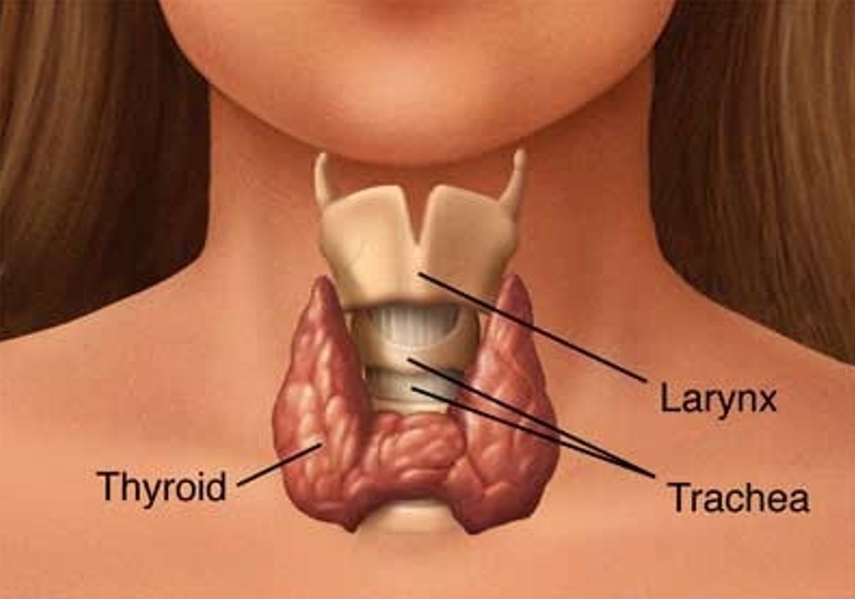 Thyroid Issues? 