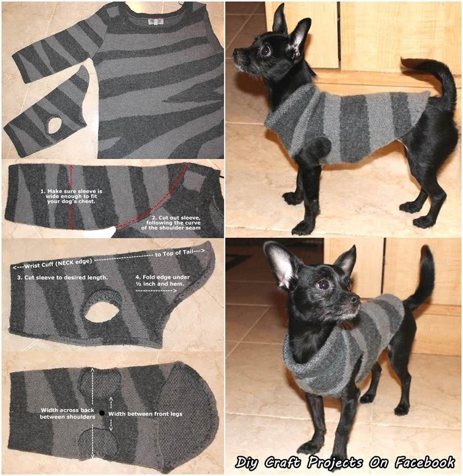 DIY Dog Sweater From A Used Sweater Sleeve by Mau Lyn Musely