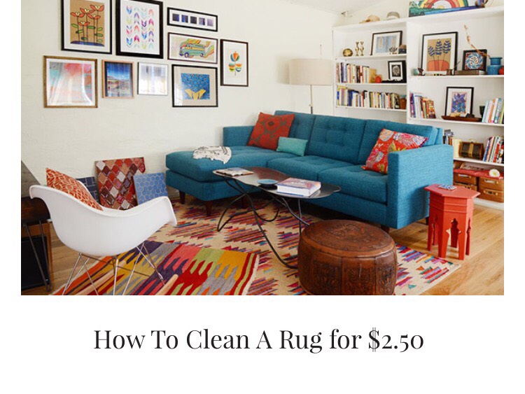 How To Clean A Rug From 2.50! Musely
