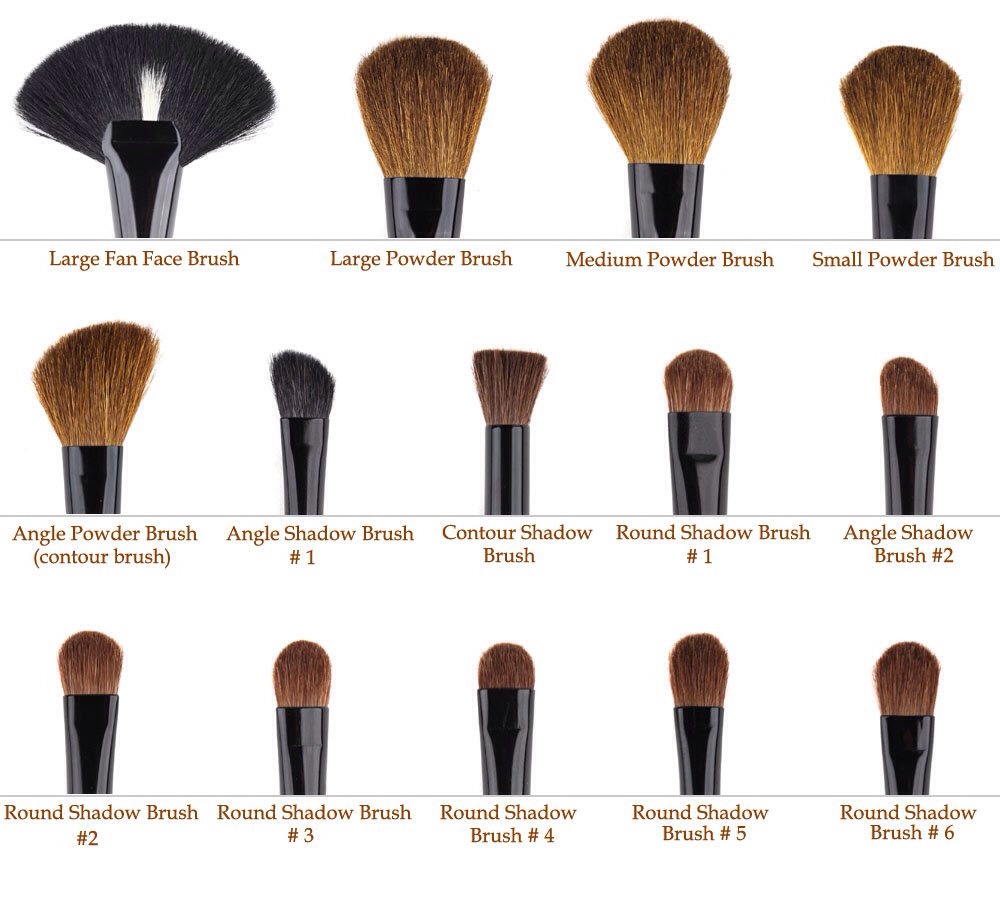 Main Makeup Brushes Needed Musely