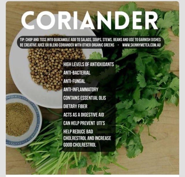 💞 Health Benefits Of Cilantro/ Coriander 💞 Musely