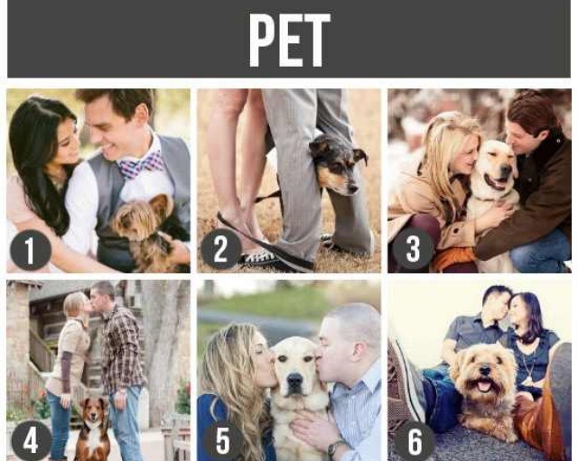 Dog Pet Photo Prop Engagement Dog Pet Photo Prop Engagement