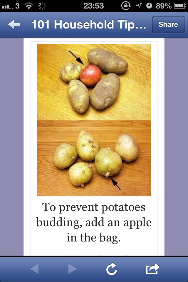Keep Potatoes Longer! Musely