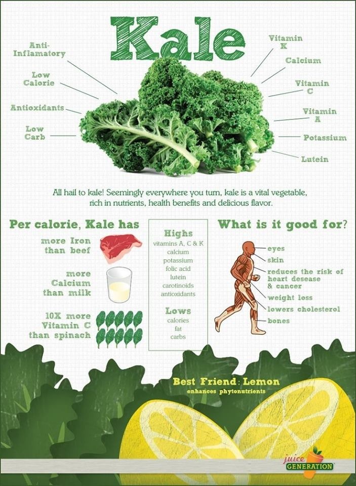 Kale Should Be Your New Best Friend To Stay Healthy. Check Out Its