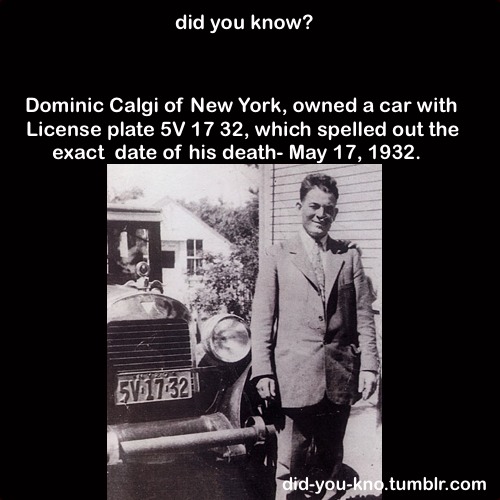Did You Know Weird Interesting Facts Musely