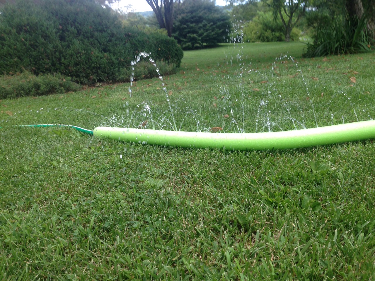 Diy Pool Noodle Sprinkler Musely