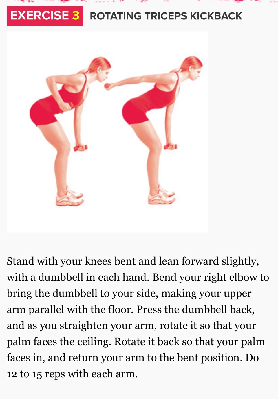 The (15 Minute) Bye-Bye Arm Jiggle Workout The (15 Minute) Bye-Bye Arm Jiggle Workout new picture The (15 Minute) Bye-Bye Arm Jiggle Workout The (15 Minute) Bye-Bye Arm Jiggle Workout new photo