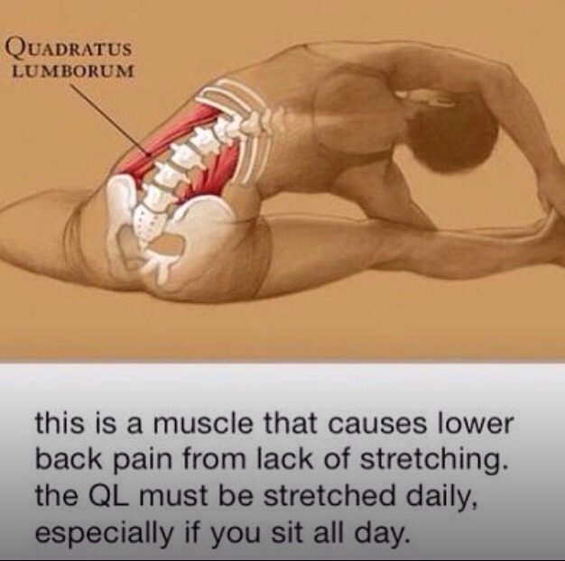 Stretches To Help Lower Back Pain Musely