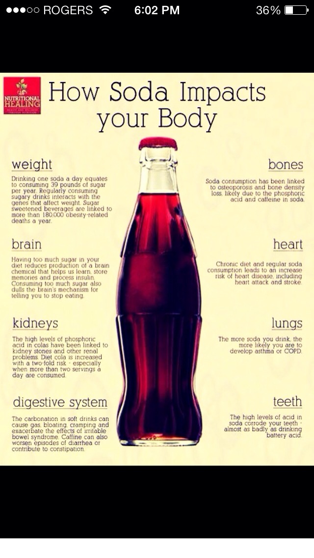 Soda Impact On Your Body!!!😕 Musely