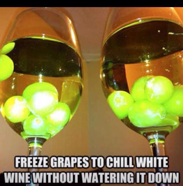 Cute, Easy Way To Keep Your White Wine Cold! Musely