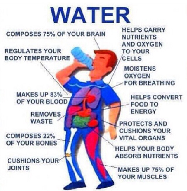 " Why is WATER so HEALTHY " Musely