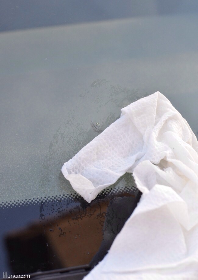 How To Keep A Windshield Crack From Spreading With Product You Already