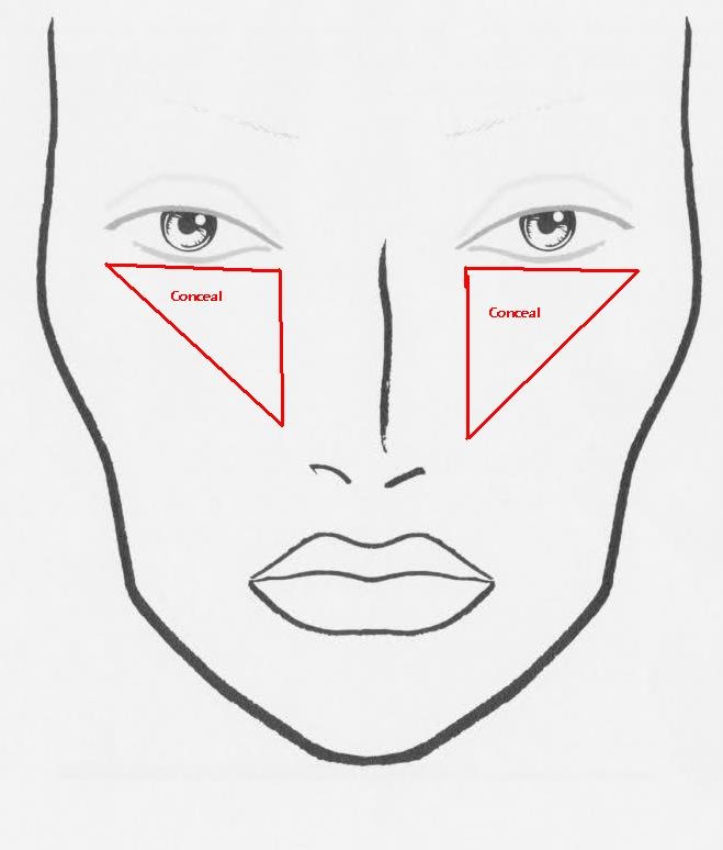 How To Apply Concealer The Right Way! Musely