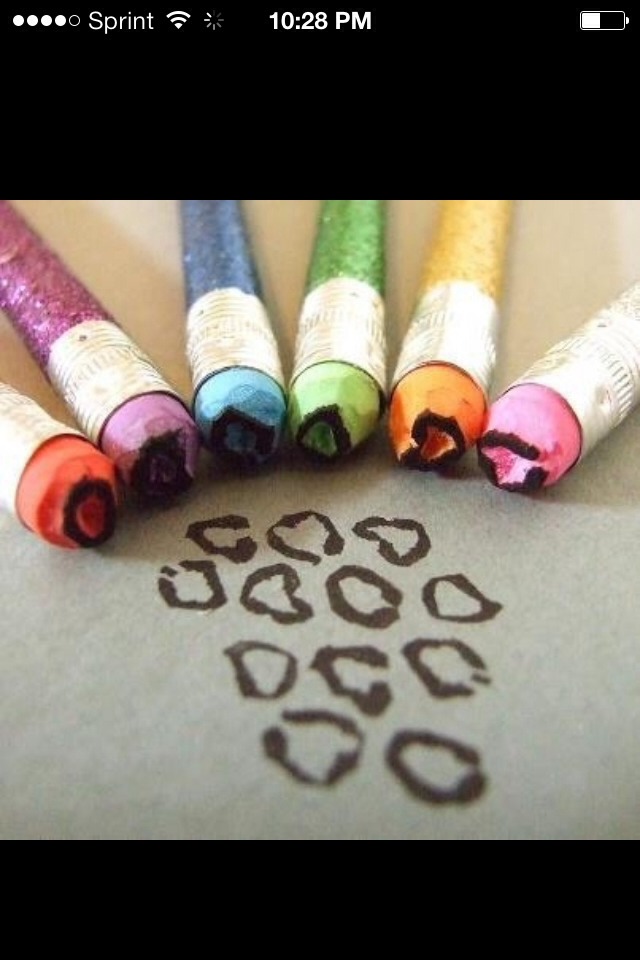 senior citizen dating app