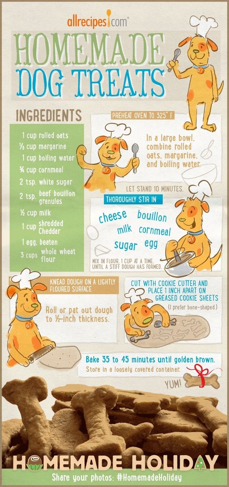 Homemade Doggie Treats!! 🐶🐶 Musely