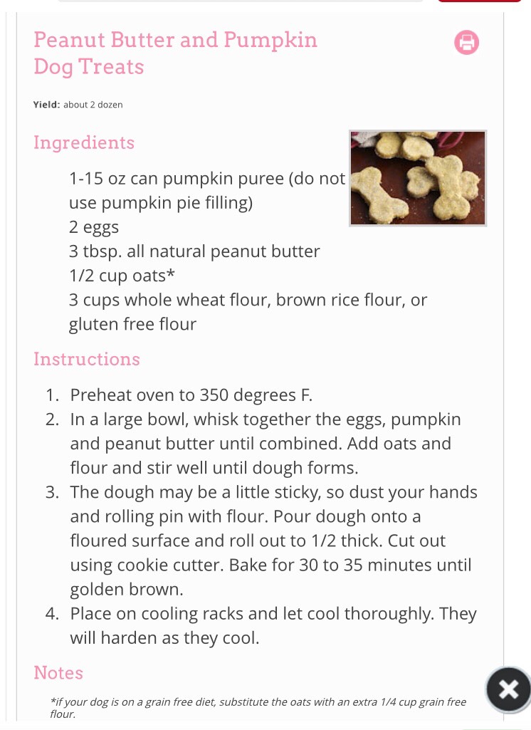 How To Create 12 Homemade Dog Treats! Musely