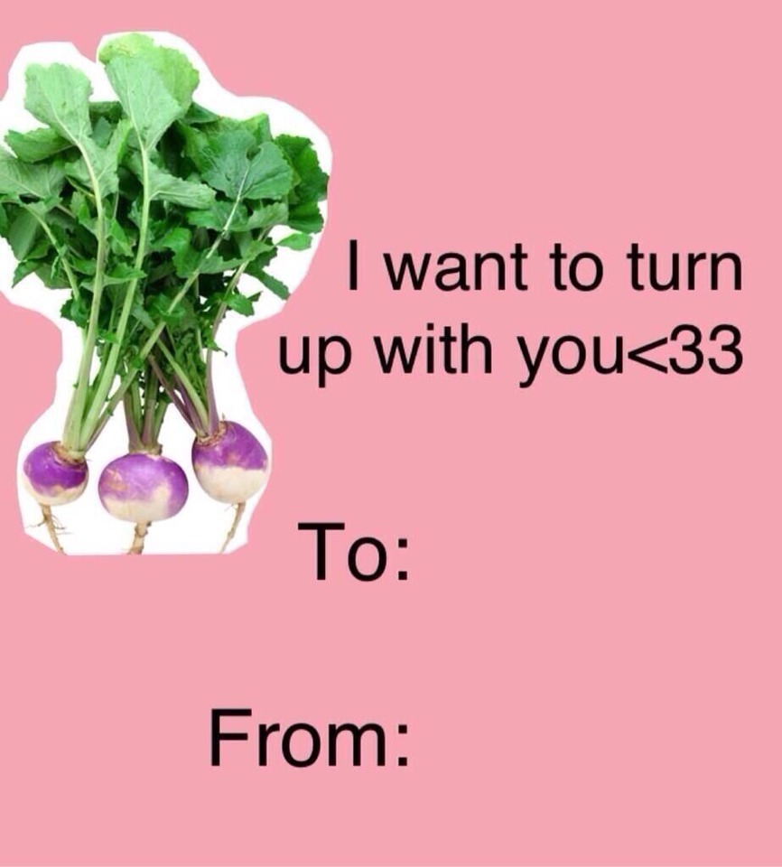 Funny Relationship Ecards Musely