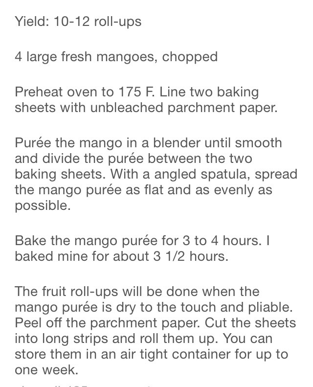 Healthy Mango Fruit Roll Ups! Musely