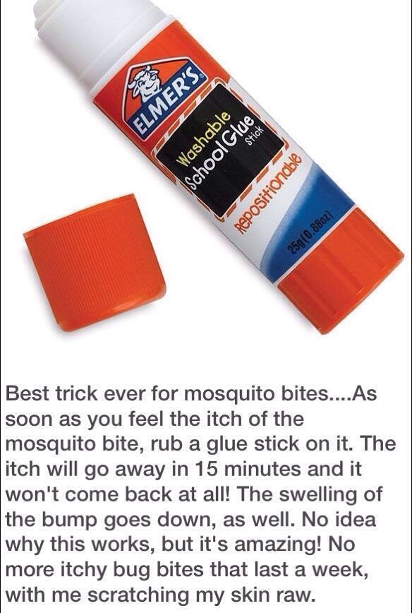 Best tip for mosquito bites..!!! - Musely