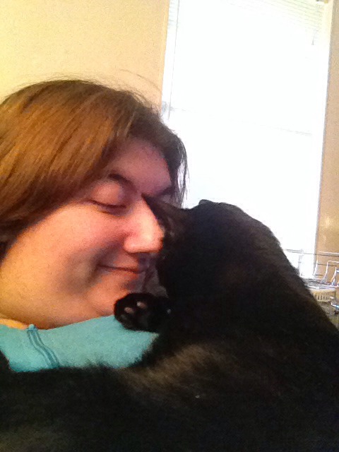 Ways To Get Two Cats To Like Each Other Ways To Get Two Cats To Like Each Other