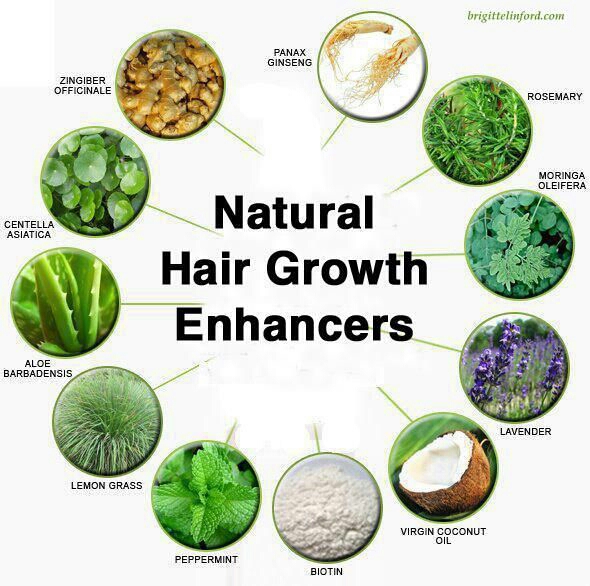 Foods That Make Your Hair Grow Longer By Charlotte Carr Musely