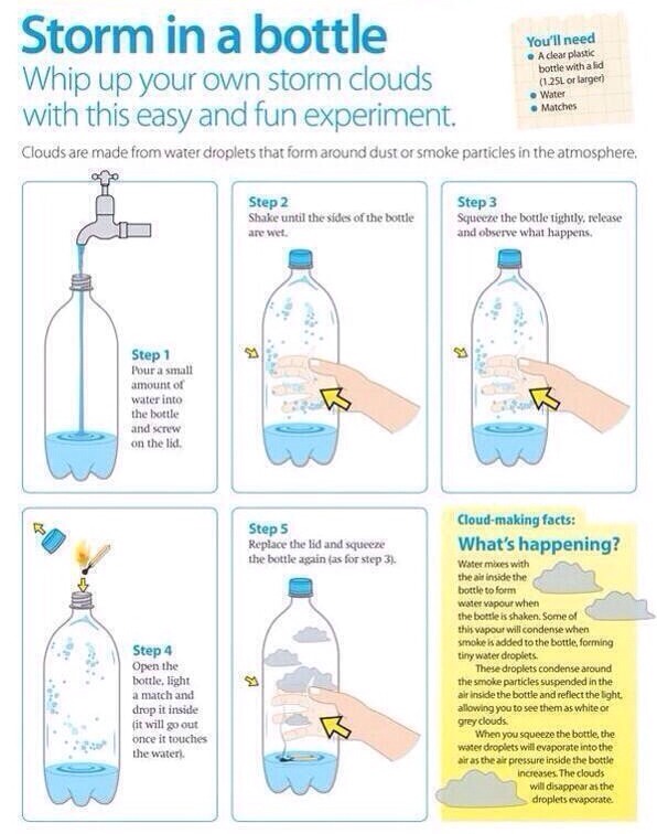 Cool science idea - Musely