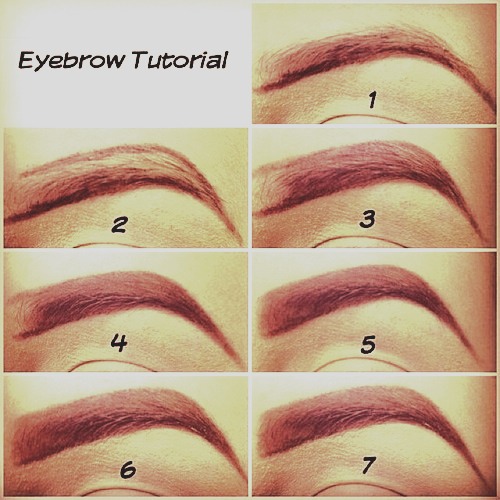 How To Fill In Your Eyebrows (The Right Way!) Musely