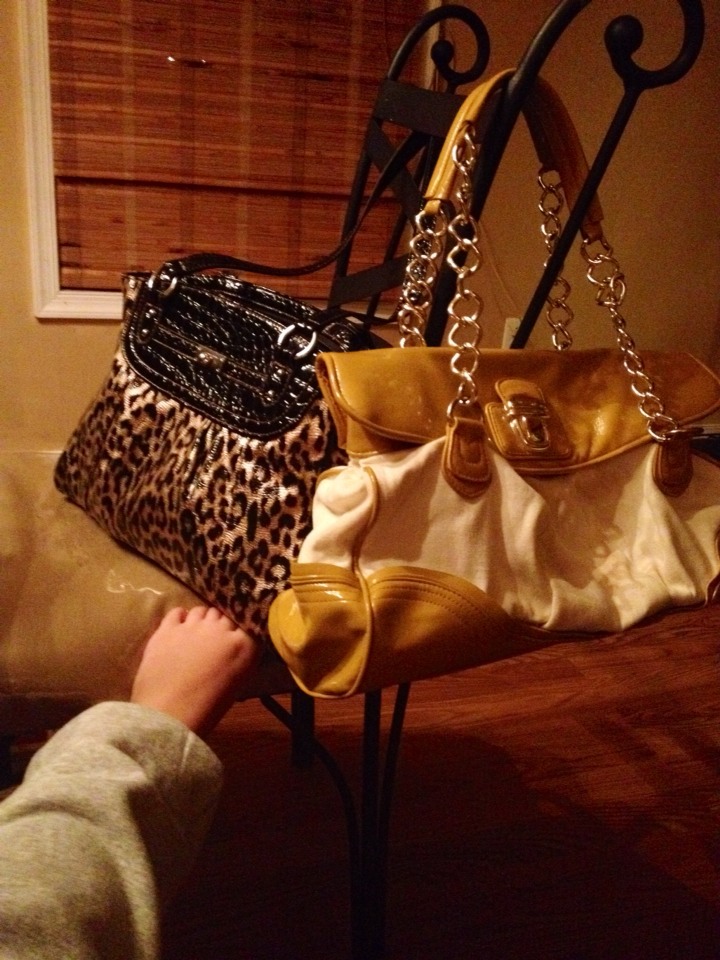 How To Keep Purses Clean Musely