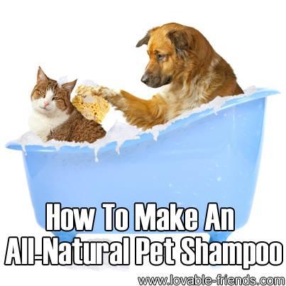 How To Make Your Own Natural Dog Shampoo How To Make Your Own Natural Dog Shampoo