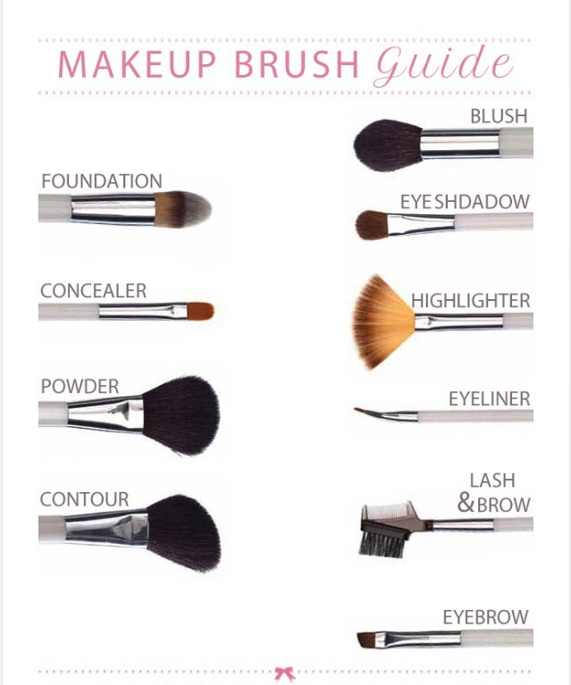 Jenis Brush Make Up Dan Fungsinya vrogue.co