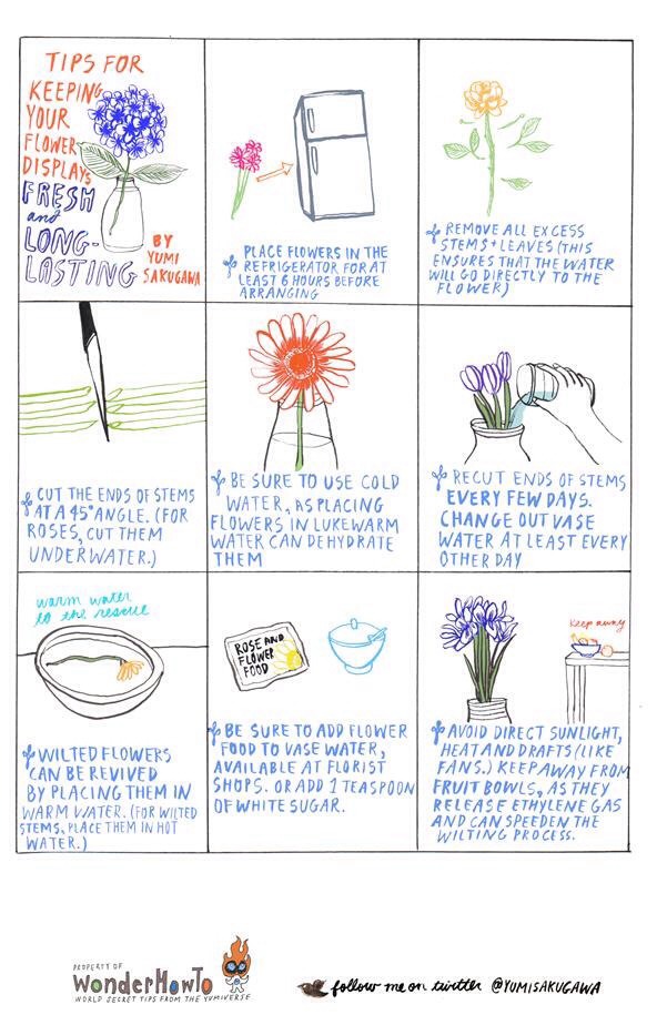 Tips For Your Flower To Look Fresh And Long Lasting 😀☺️ Musely