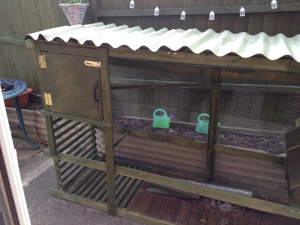 How To Make A Bird Aviary From An Old Wardrobe Musely
