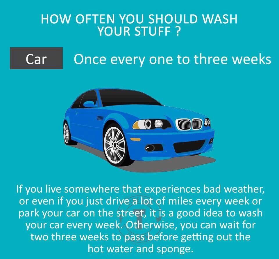 How Often Should You Wash Everything In Your Home??? Musely