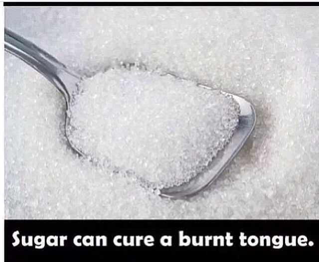 Burnt Tongue Quotes Burnt Tongue Quotes