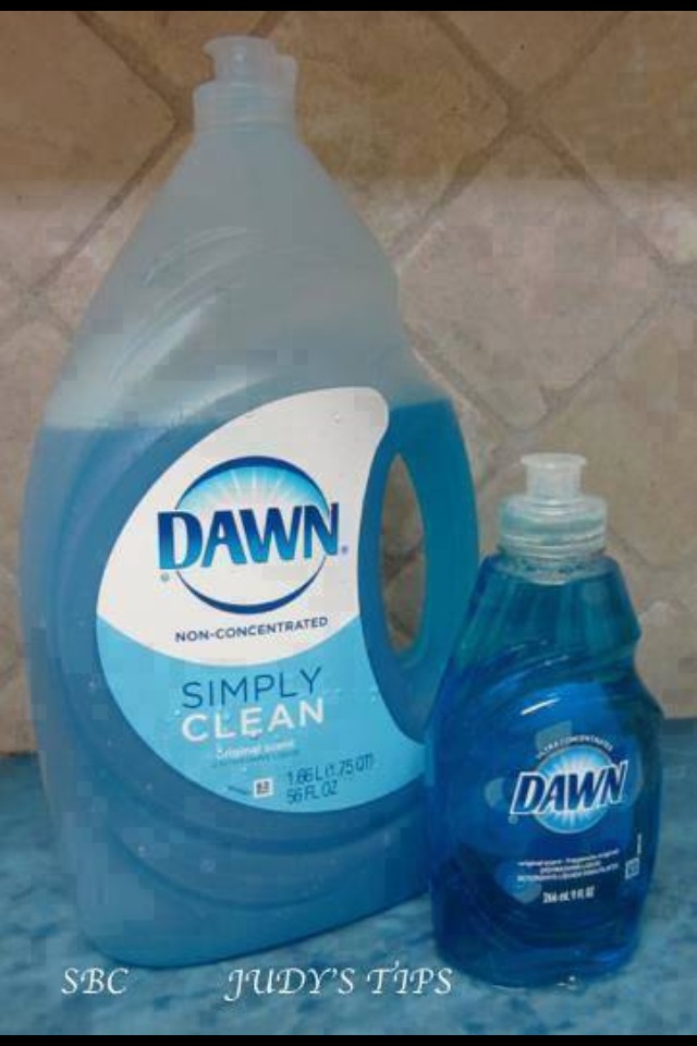 You Can Use Dawn Dish Soap For Alot Of Things Musely