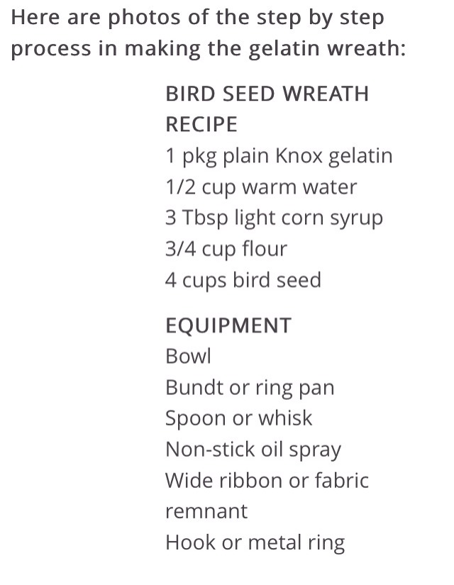 How To Make A Bird Seed Wreath 💚 Musely