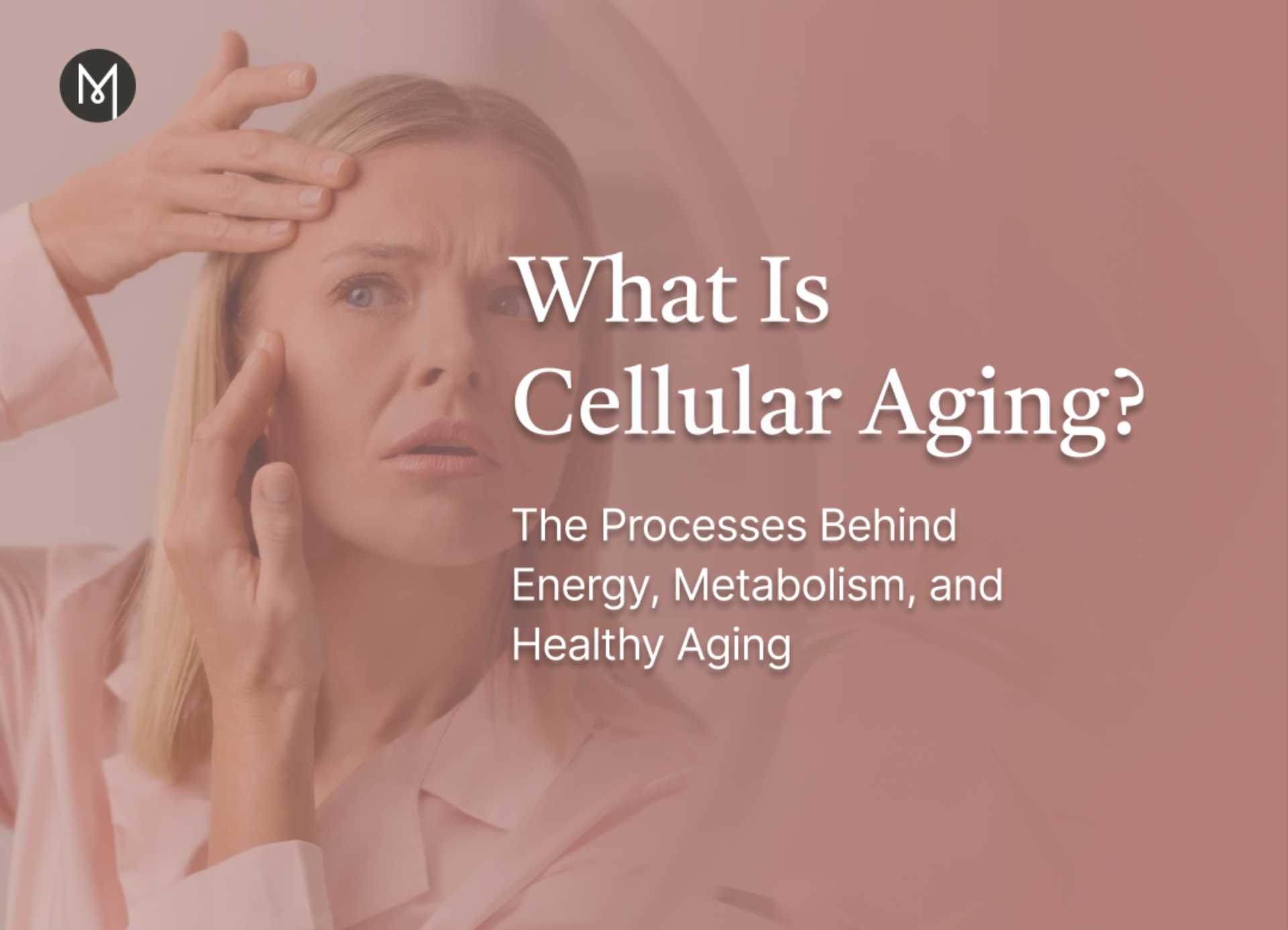 What Is Cellular Aging? The Processes Behind Energy, Metabolism, and Healthy Aging