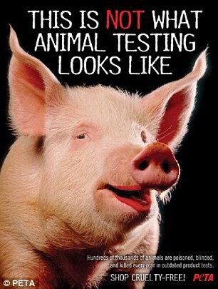 animal testing can cause animal sudden animal testing can cause animal sudden