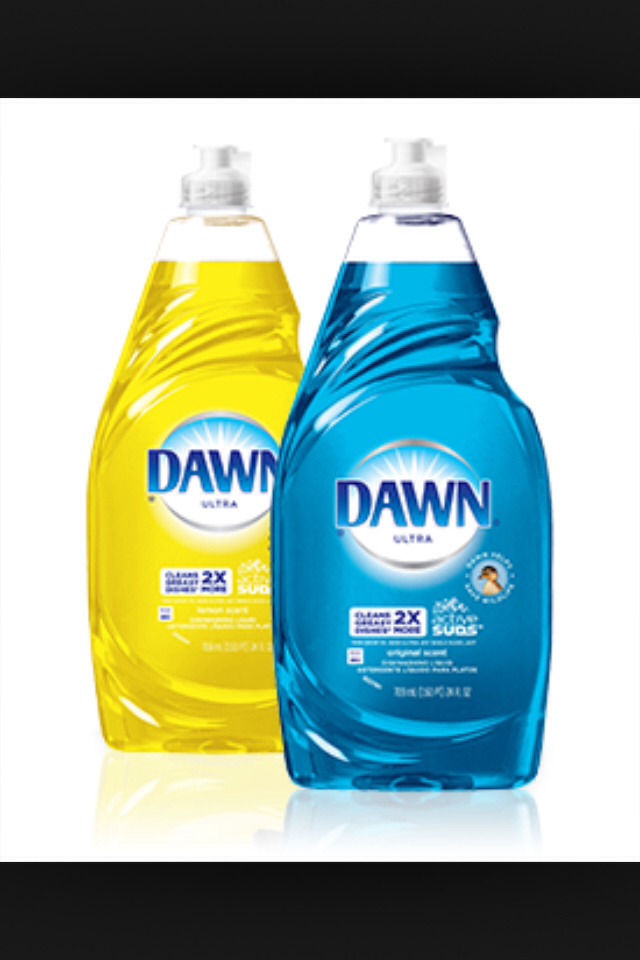 Never To Use Dish Soap In Your Hair Musely