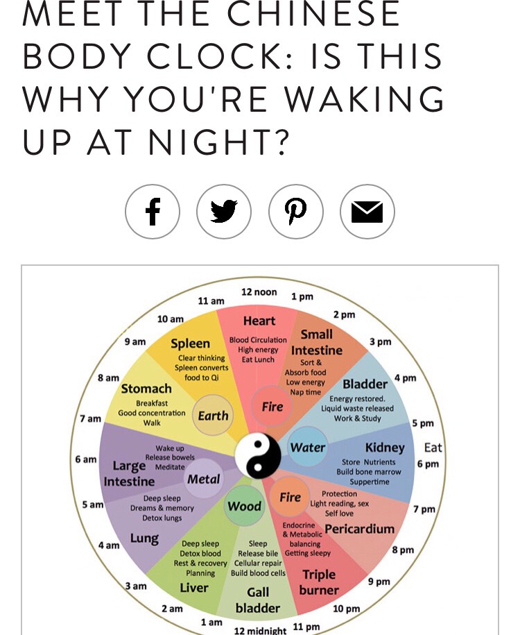 Meet The Chinese Body Clock Musely