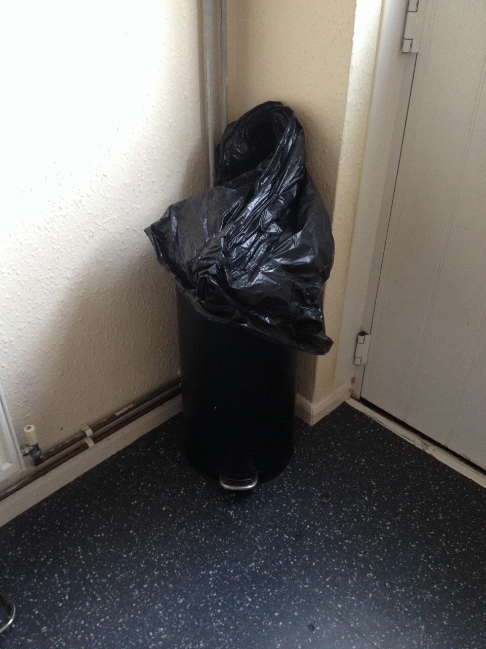 Pour White Vinegar On Half A Slice Of Bread And Put In Bin. Leave Over