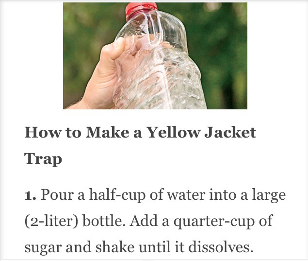 Homemade Yellow Jacket Trap Musely