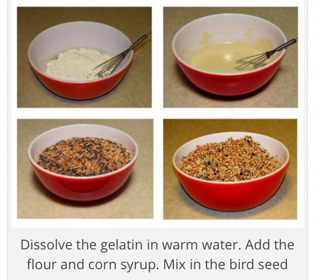 How To Make A Bird Seed Wreath 💚 Musely