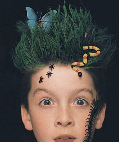 Crazy Hair Day Ideas By Michele Cooper Musely